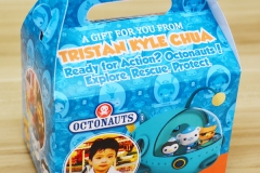Octonauts Themed Personalized Boxes