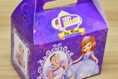 Sofia the First Themed Personalized Boxes