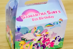 My Little Pony Themed Personalized Boxes