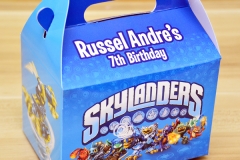 Skylanders Themed Personalized Boxes