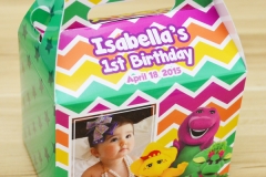Barney & Friends Themed Personalized Boxes